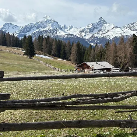 Cozy Alpine Wiesen Davos